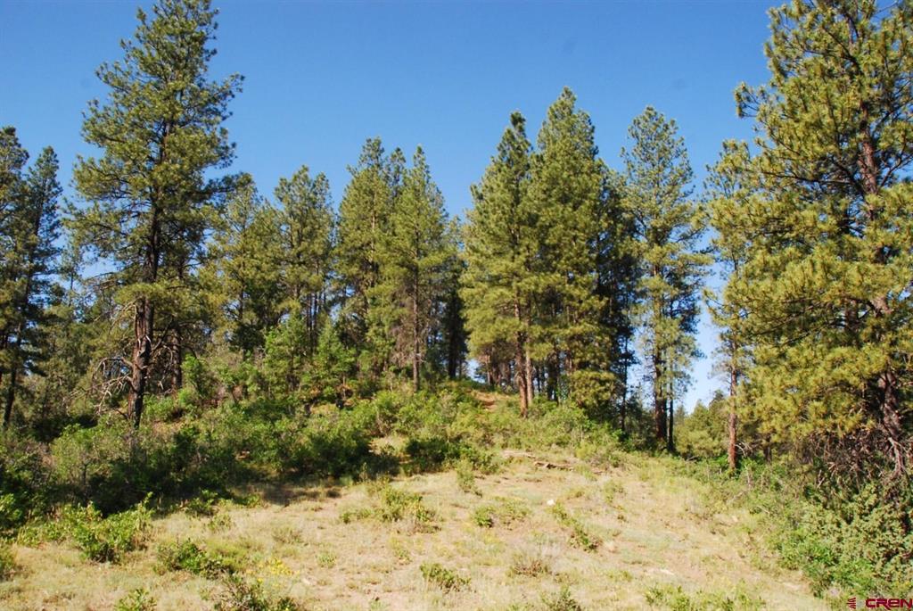 X Us Hwy 84 #047 Pagosa Springs CO 81147