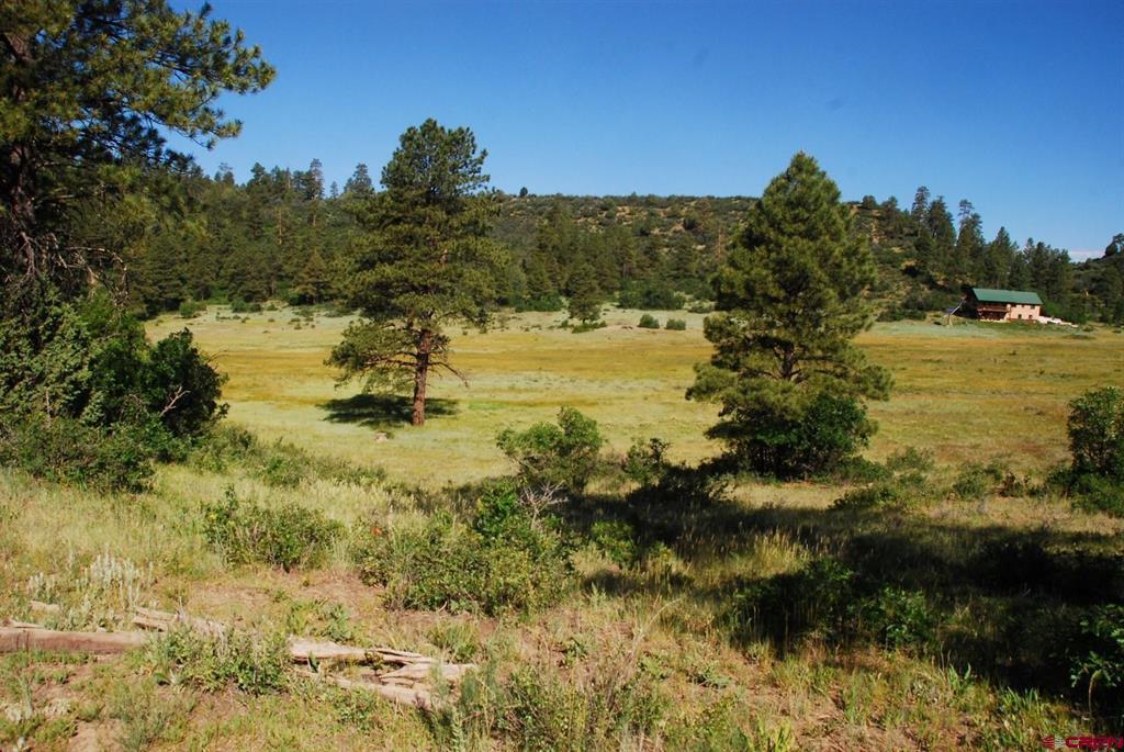 X Us Hwy 84 #047 Pagosa Springs CO 81147