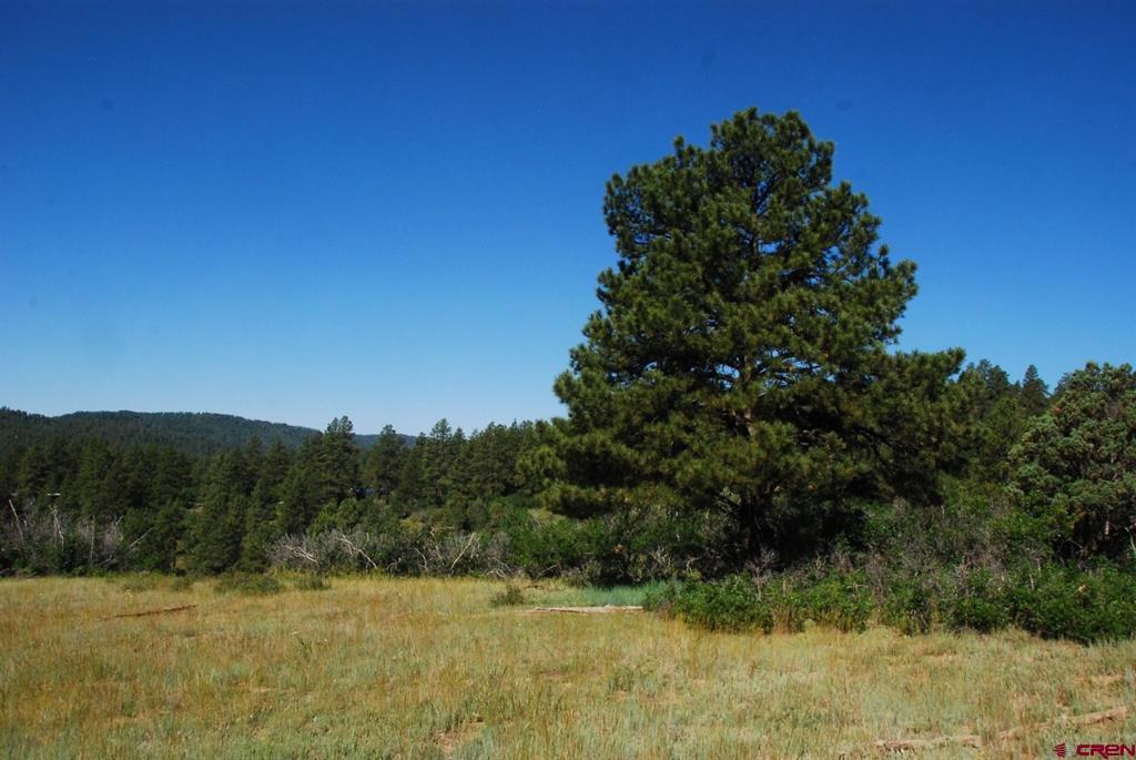 X Us Hwy 84 #047 Pagosa Springs CO 81147