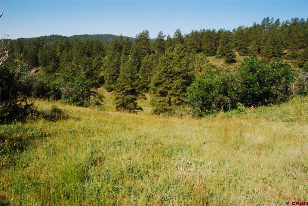 X Us Hwy 84 #047 Pagosa Springs CO 81147