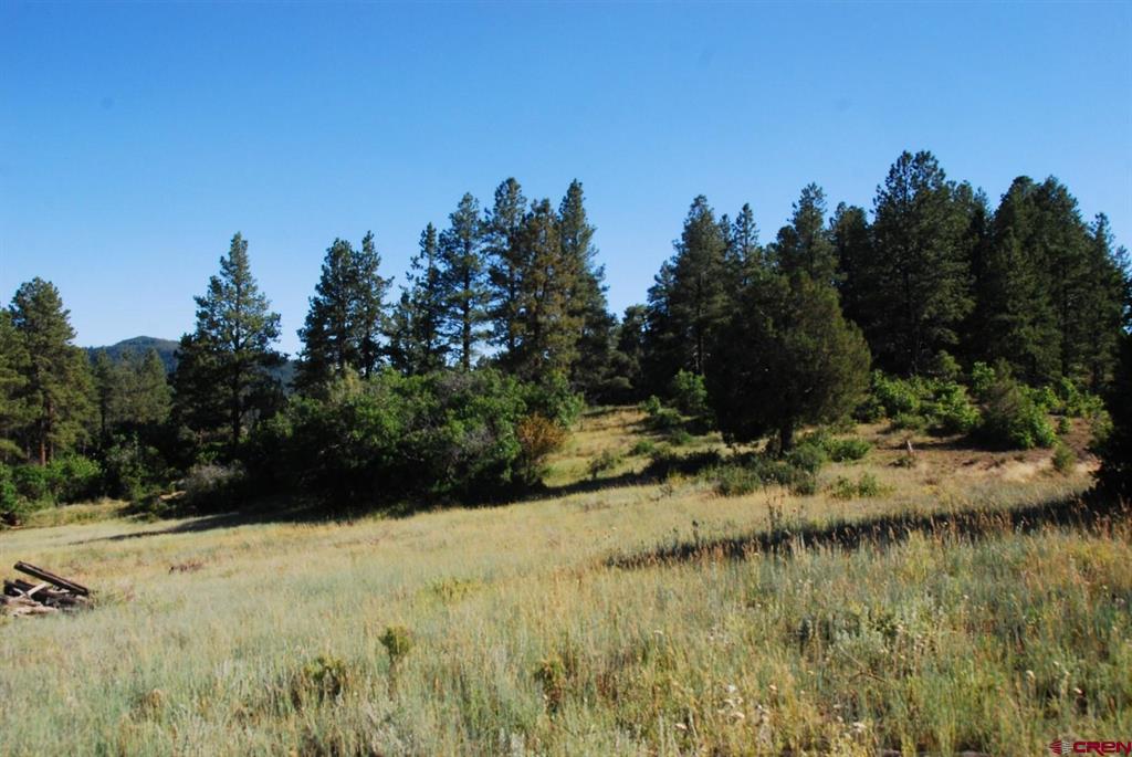X Us Hwy 84 #047 Pagosa Springs CO 81147