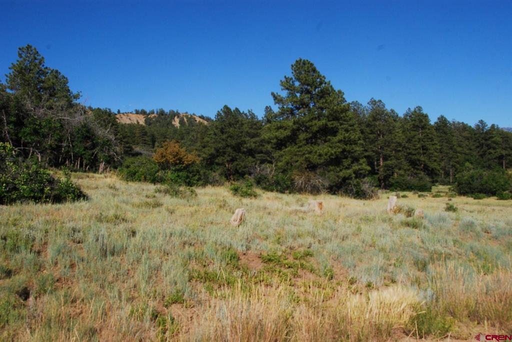 X Us Hwy 84 #047 Pagosa Springs CO 81147
