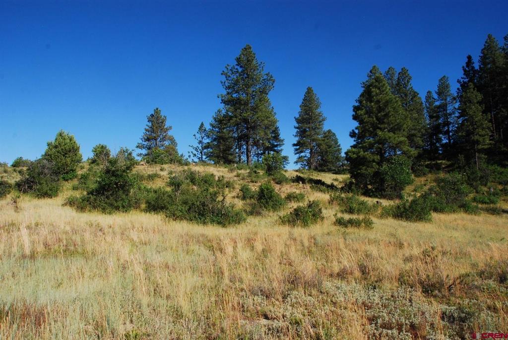 X Us Hwy 84 #047 Pagosa Springs CO 81147