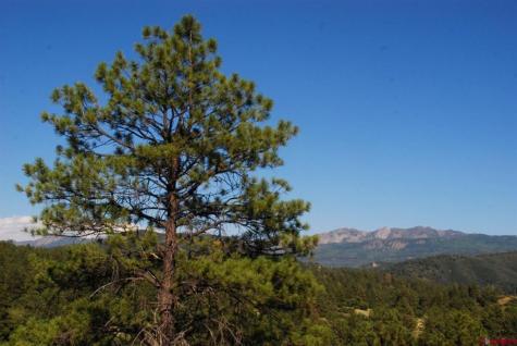 X Us Hwy 84 #047 Pagosa Springs CO 81147