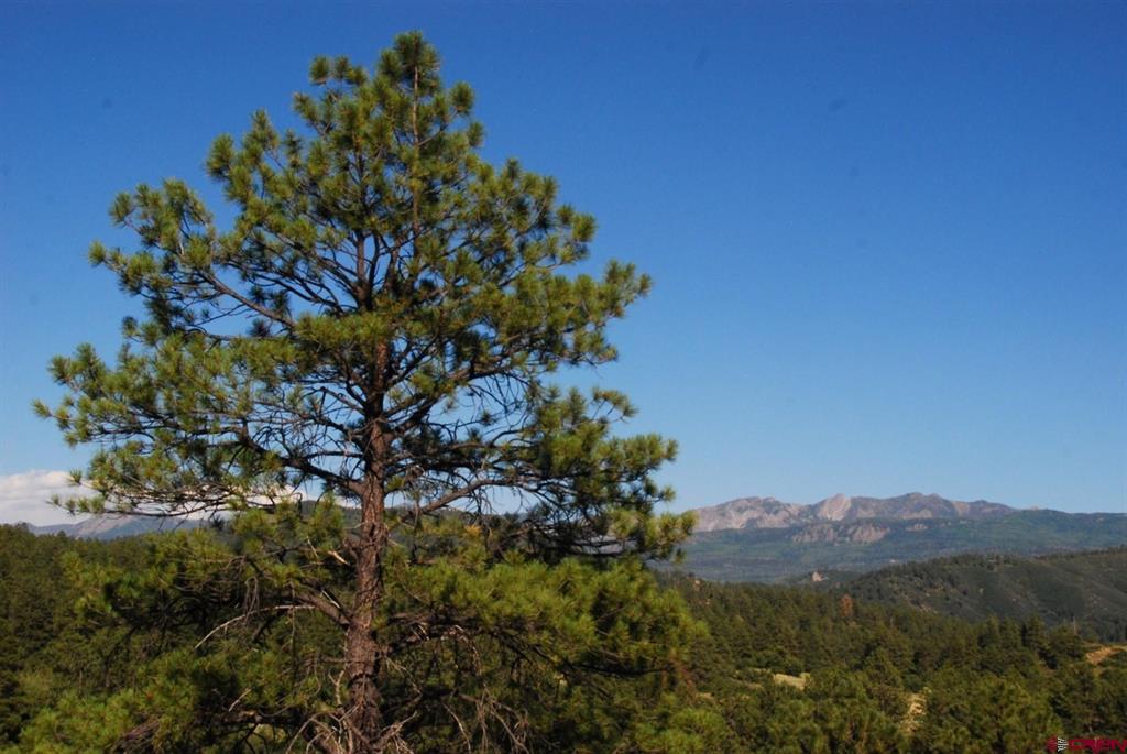 X Us Hwy 84 #047 Pagosa Springs CO 81147