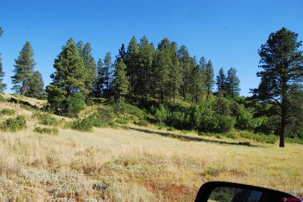 X Us Hwy 84 #047 Pagosa Springs CO 81147