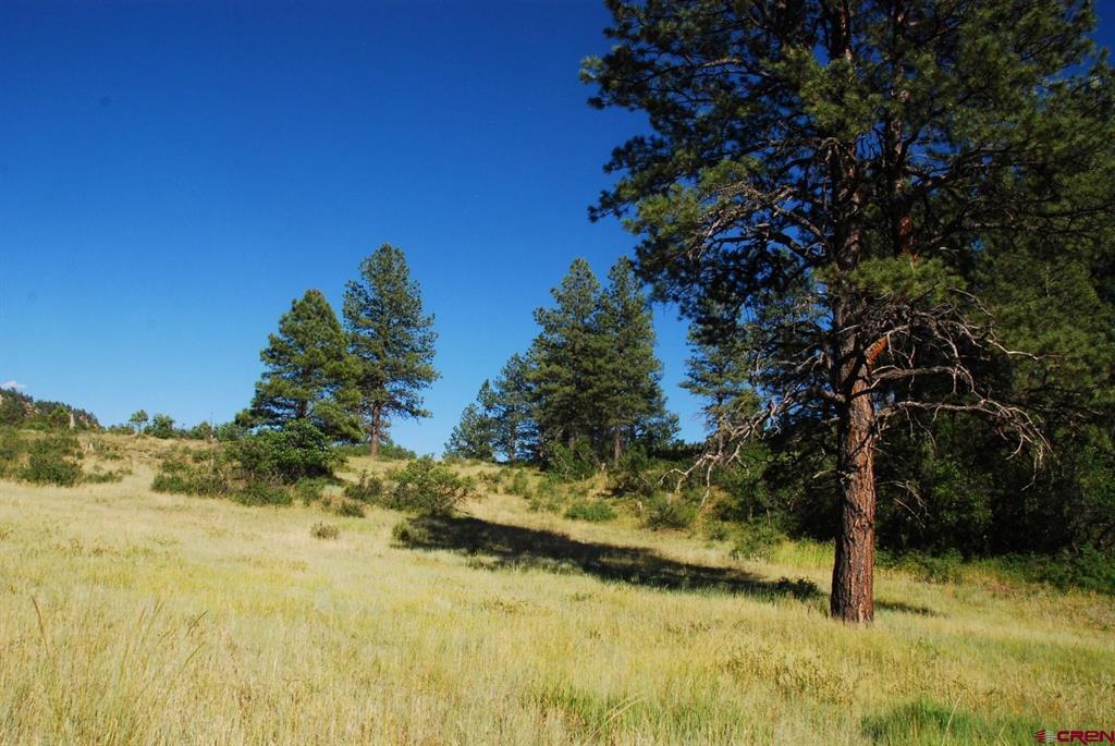 X Us Hwy 84 #047 Pagosa Springs CO 81147