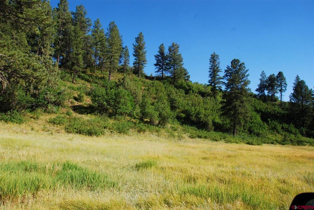 X Us Hwy 84 #047 Pagosa Springs CO 81147