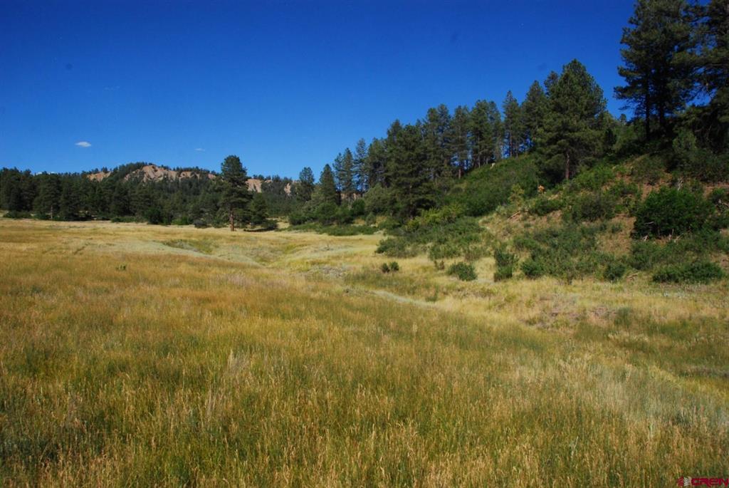 X Us Hwy 84 #047 Pagosa Springs CO 81147