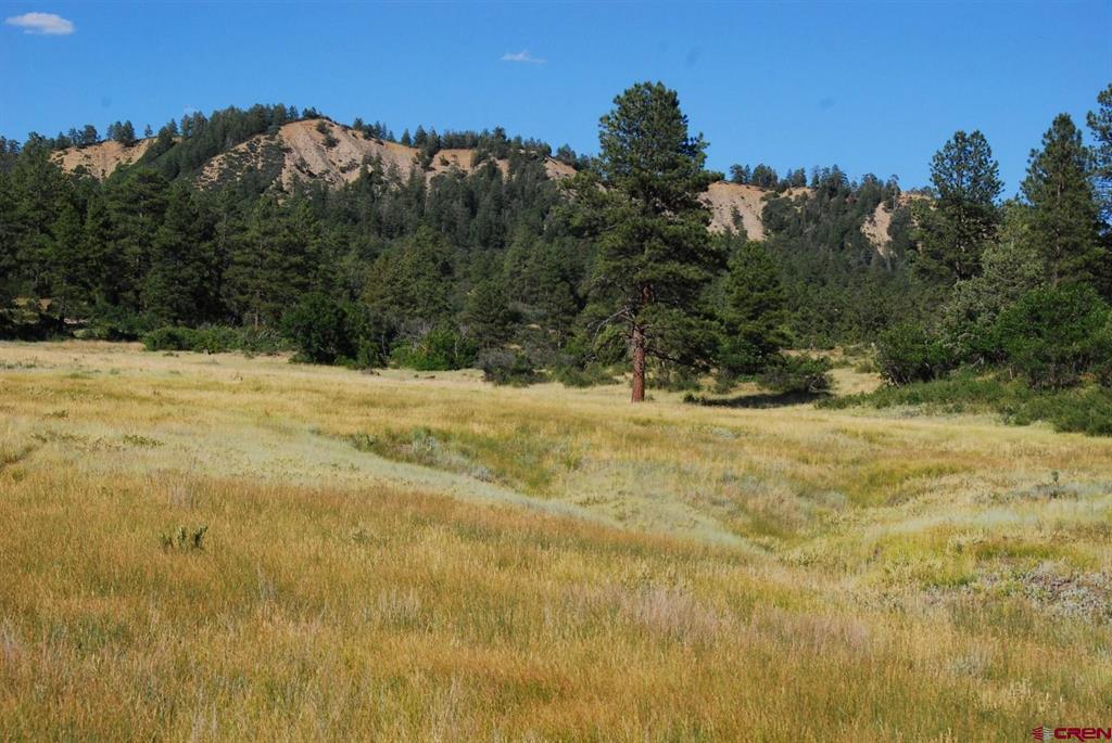 X Us Hwy 84 #047 Pagosa Springs CO 81147