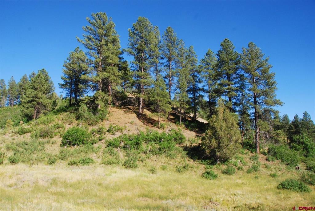 X Us Hwy 84 #047 Pagosa Springs CO 81147
