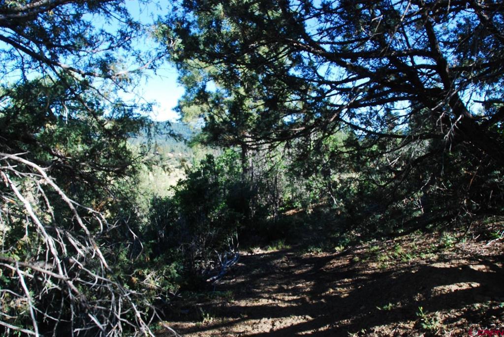 X Us Hwy 84 #047 Pagosa Springs CO 81147