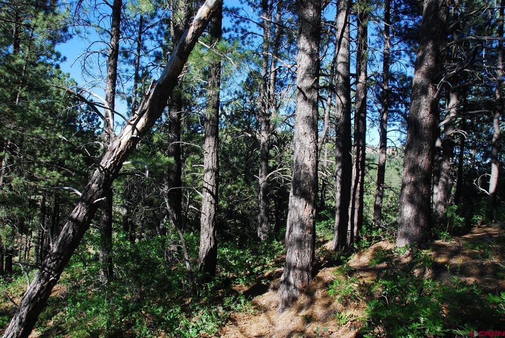 X Us Hwy 84 #047 Pagosa Springs CO 81147