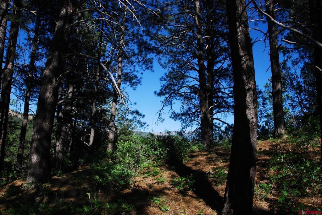 X Us Hwy 84 #047 Pagosa Springs CO 81147