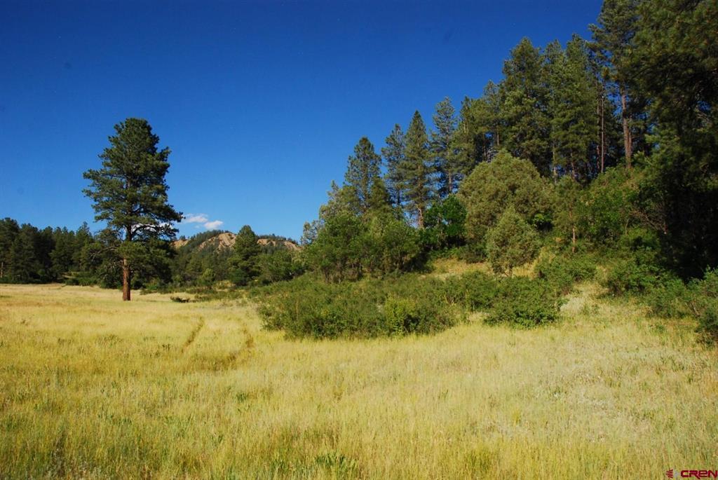 X Us Hwy 84 #047 Pagosa Springs CO 81147