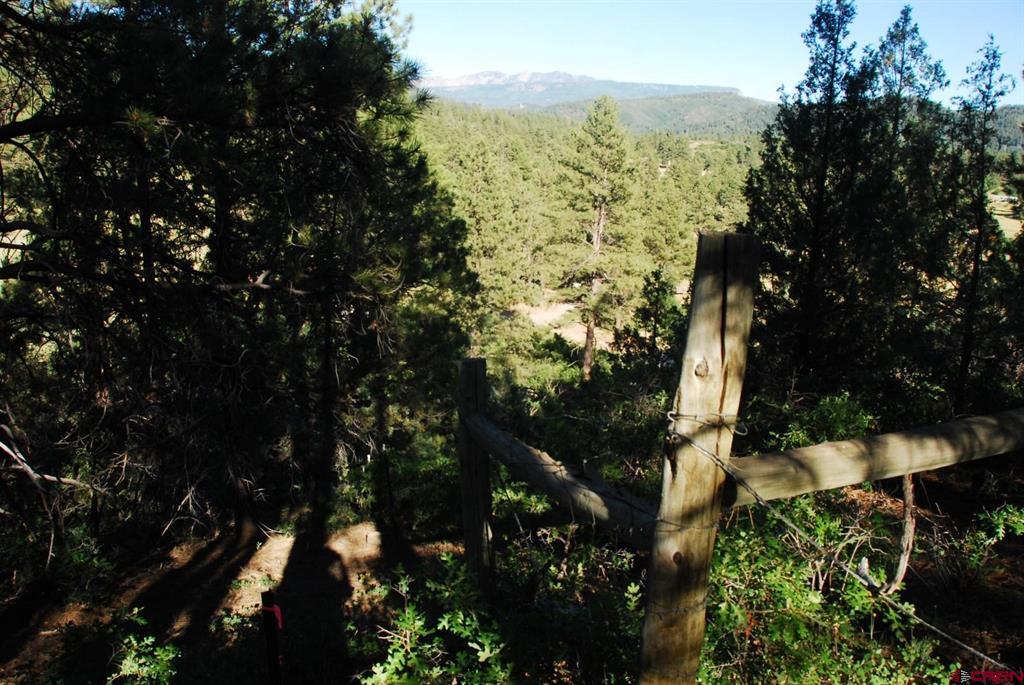 X Us Hwy 84 #047 Pagosa Springs CO 81147