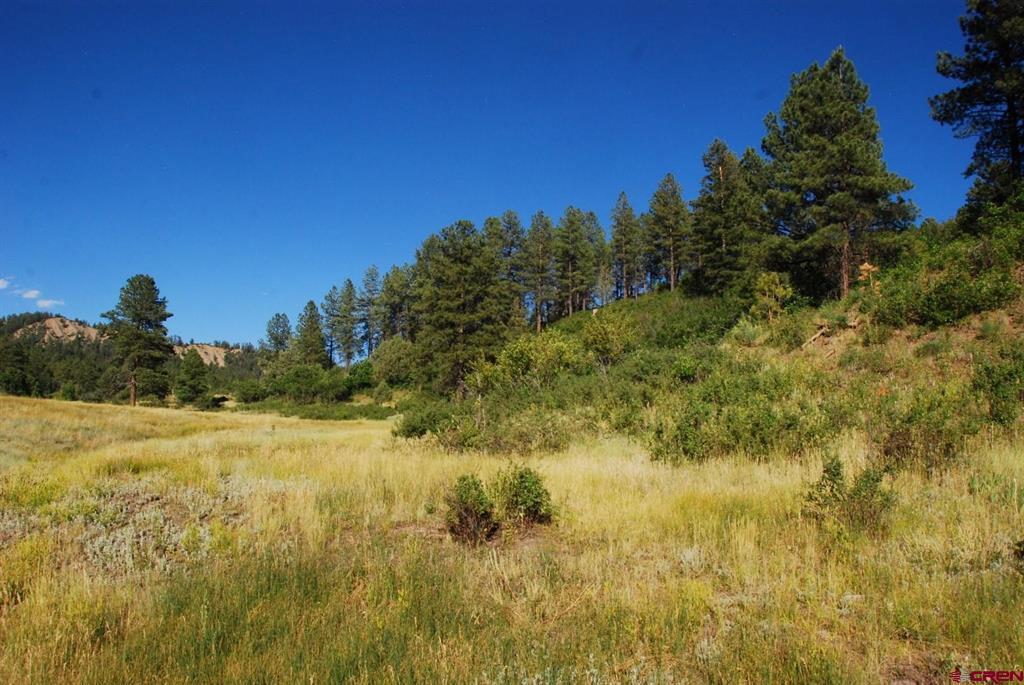 X Us Hwy 84 #047 Pagosa Springs CO 81147