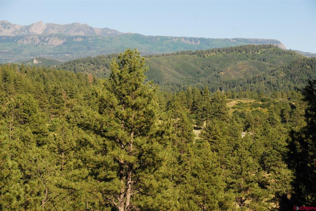 X Us Hwy 84 #047 Pagosa Springs CO 81147