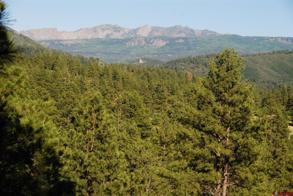 X Us Hwy 84 #047 Pagosa Springs CO 81147