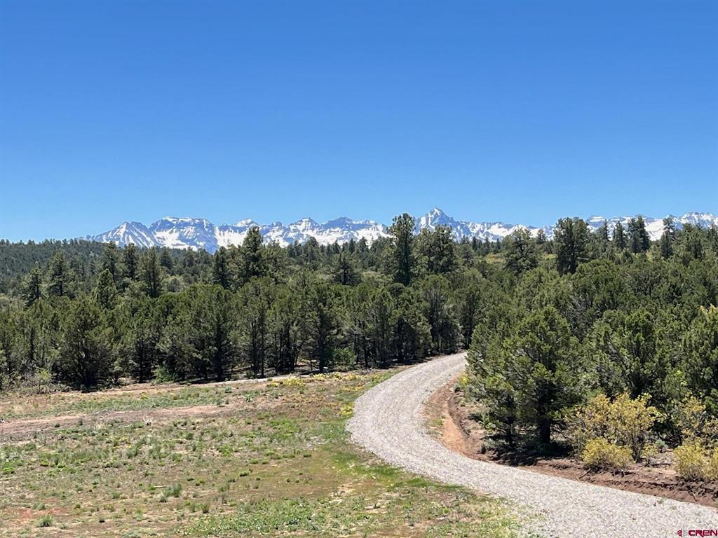 744 Larsen Drive Montrose CO 81403