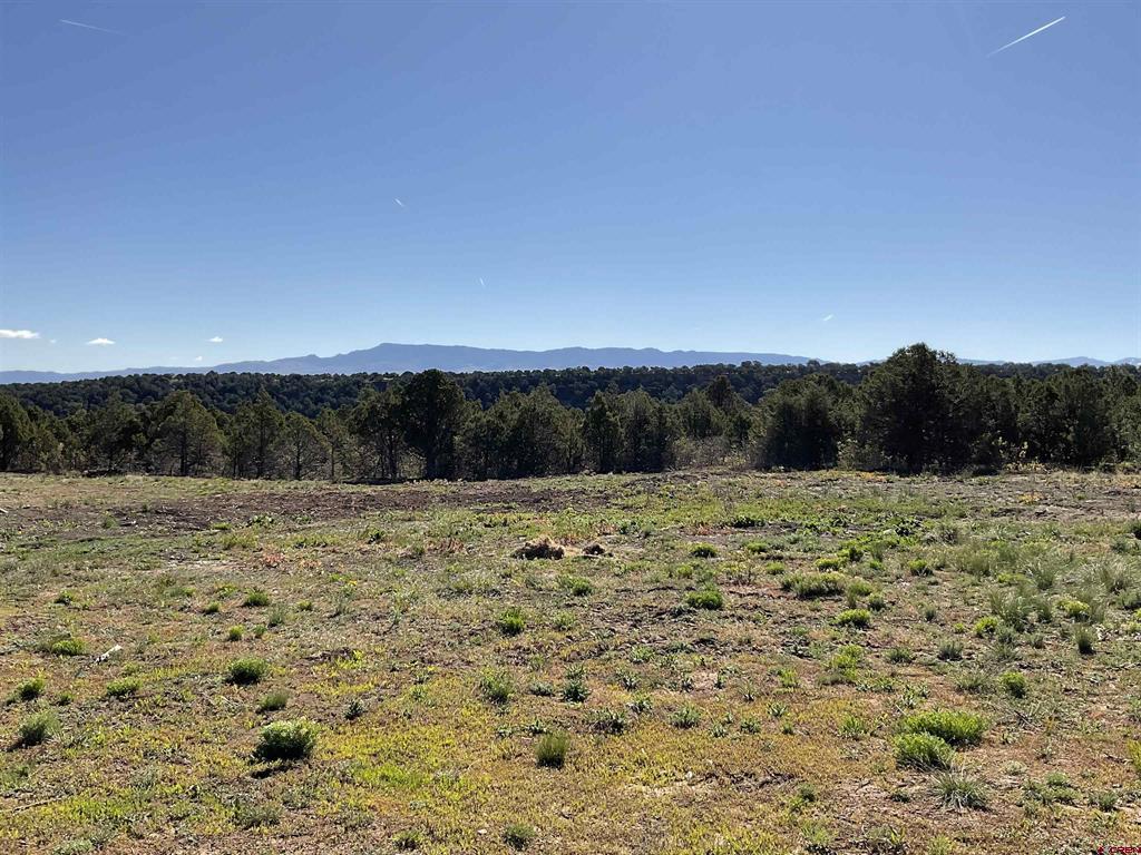 744 Larsen Drive Montrose CO 81403