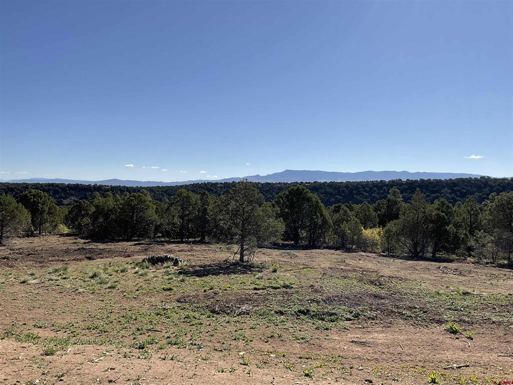 744 Larsen Drive Montrose CO 81403