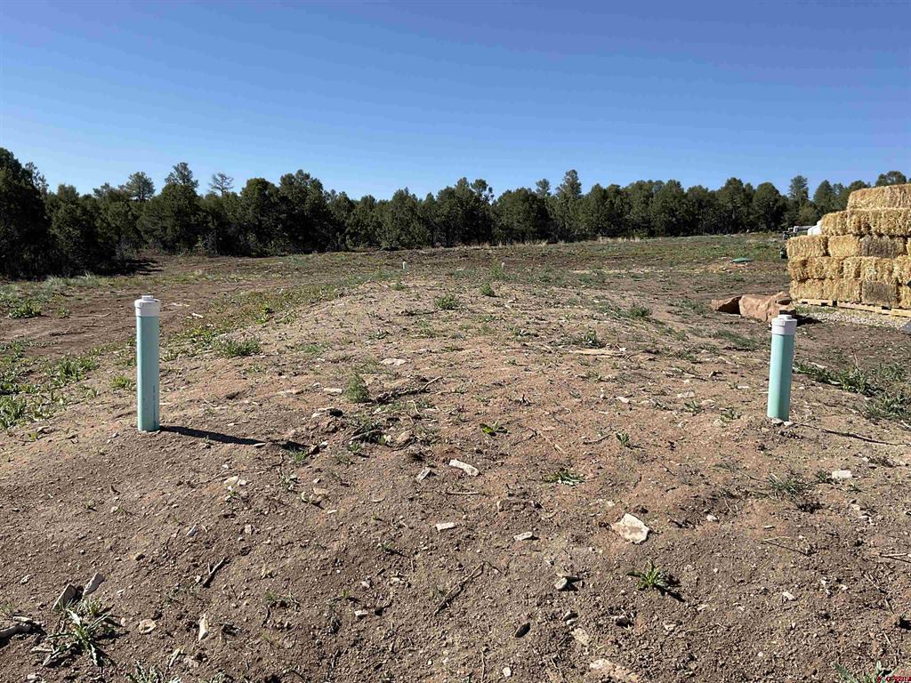 744 Larsen Drive Montrose CO 81403