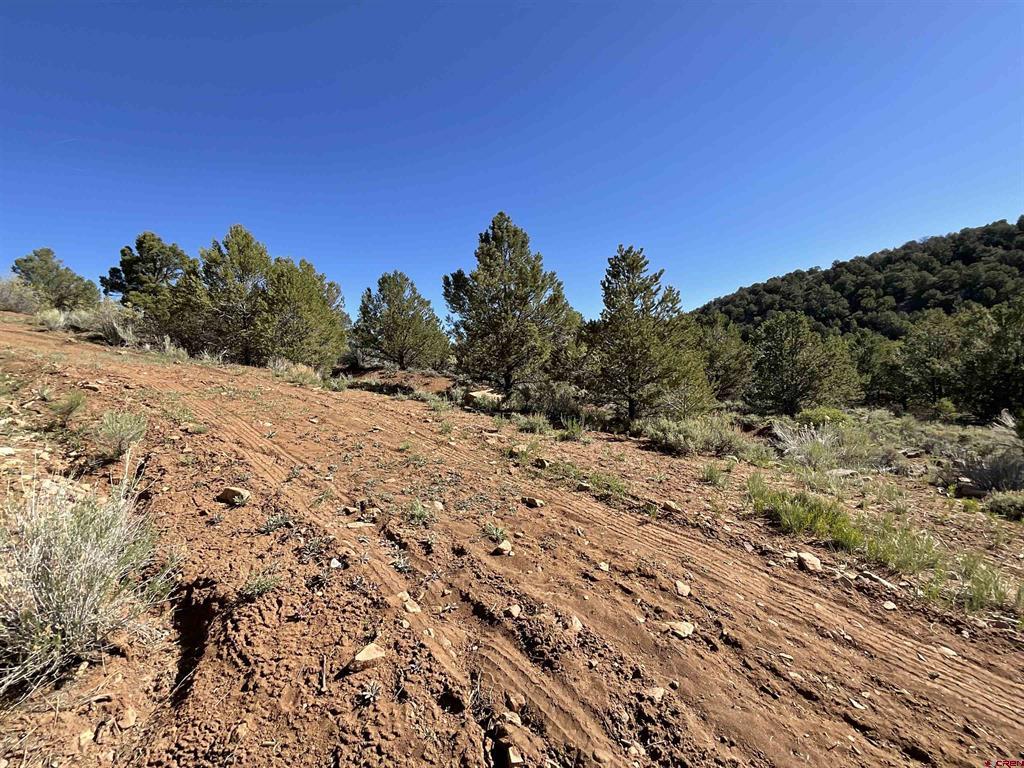 744 Larsen Drive Montrose CO 81403