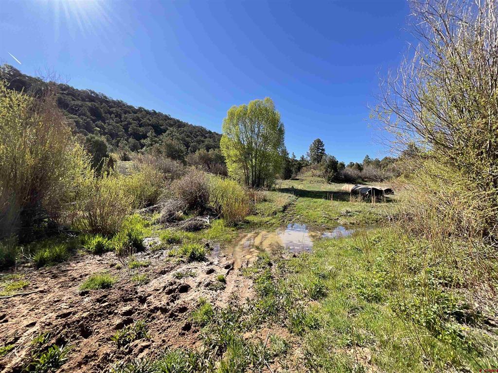 744 Larsen Drive Montrose CO 81403
