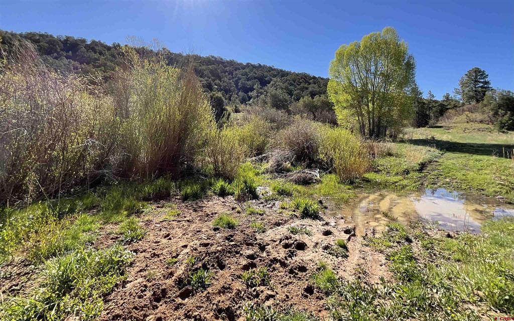 744 Larsen Drive Montrose CO 81403