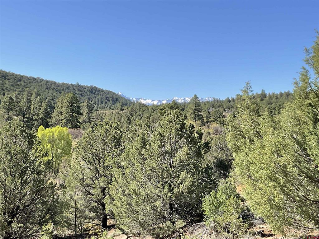 744 Larsen Drive Montrose CO 81403