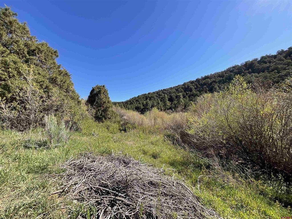 744 Larsen Drive Montrose CO 81403