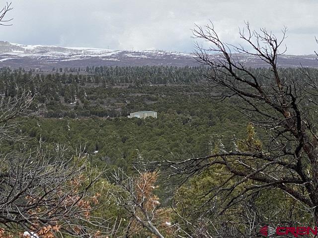 744 Larsen Drive Montrose CO 81403