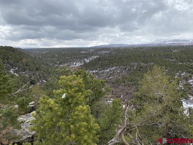 744 Larsen Drive Montrose CO 81403