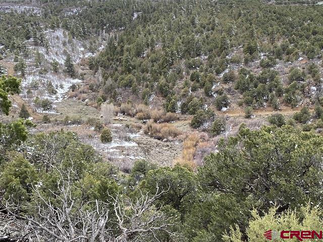 744 Larsen Drive Montrose CO 81403