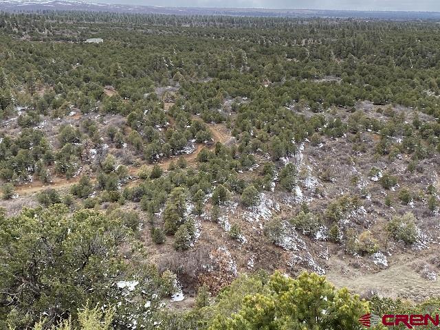 744 Larsen Drive Montrose CO 81403