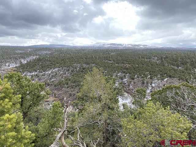 744 Larsen Drive Montrose CO 81403