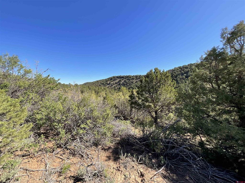 744 Larsen Drive Montrose CO 81403