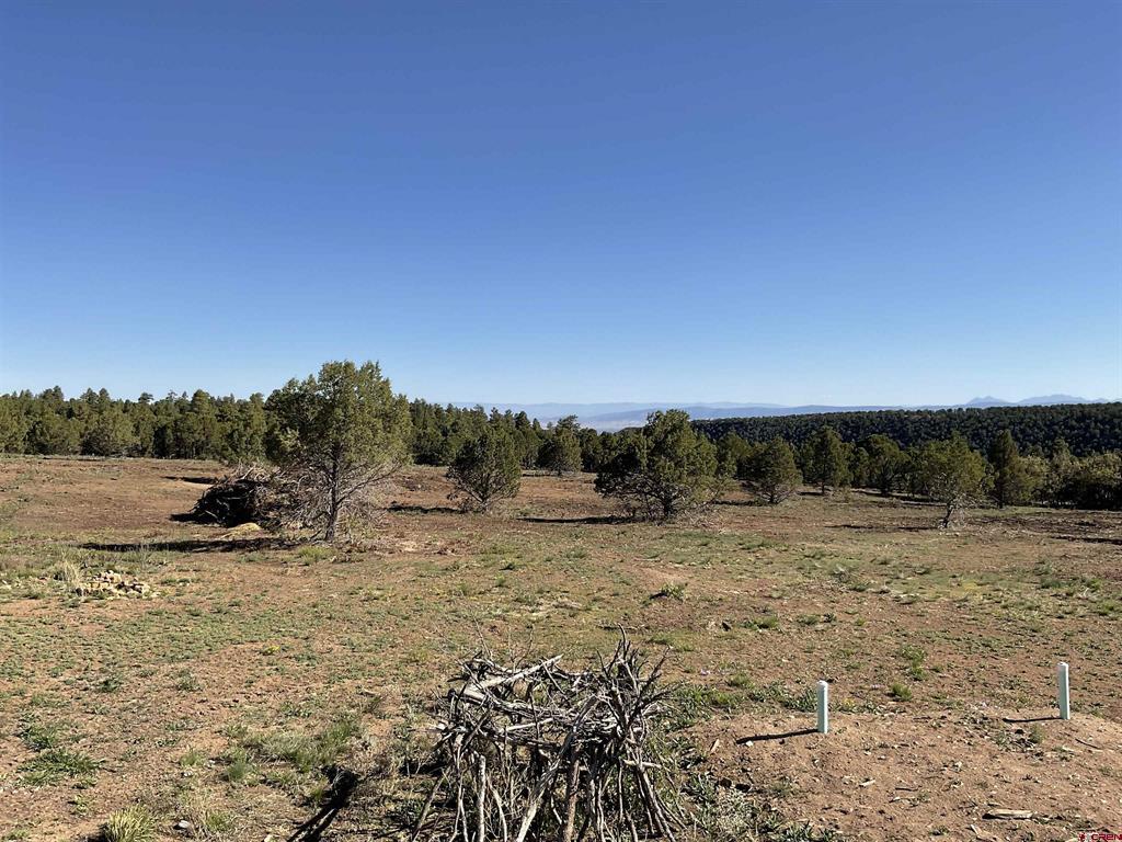 744 Larsen Drive Montrose CO 81403