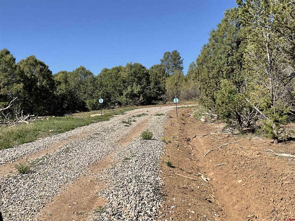 744 Larsen Drive Montrose CO 81403