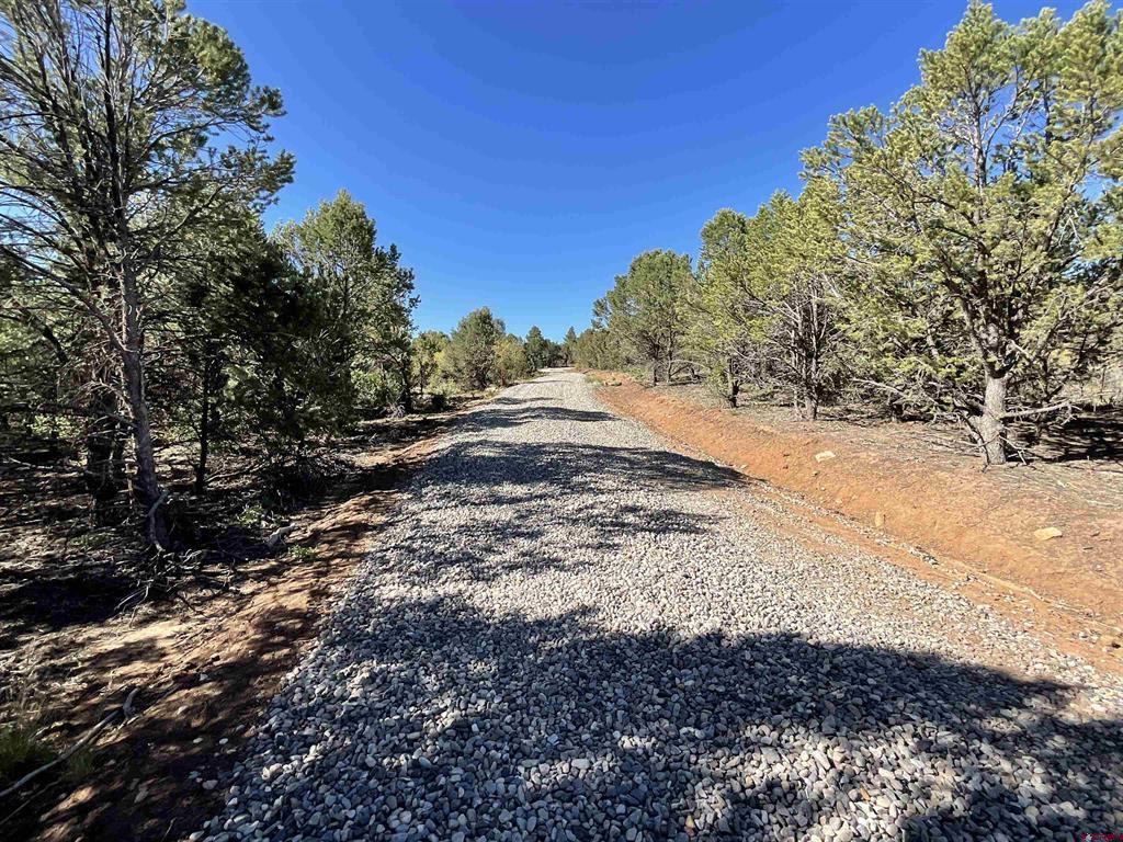 744 Larsen Drive Montrose CO 81403