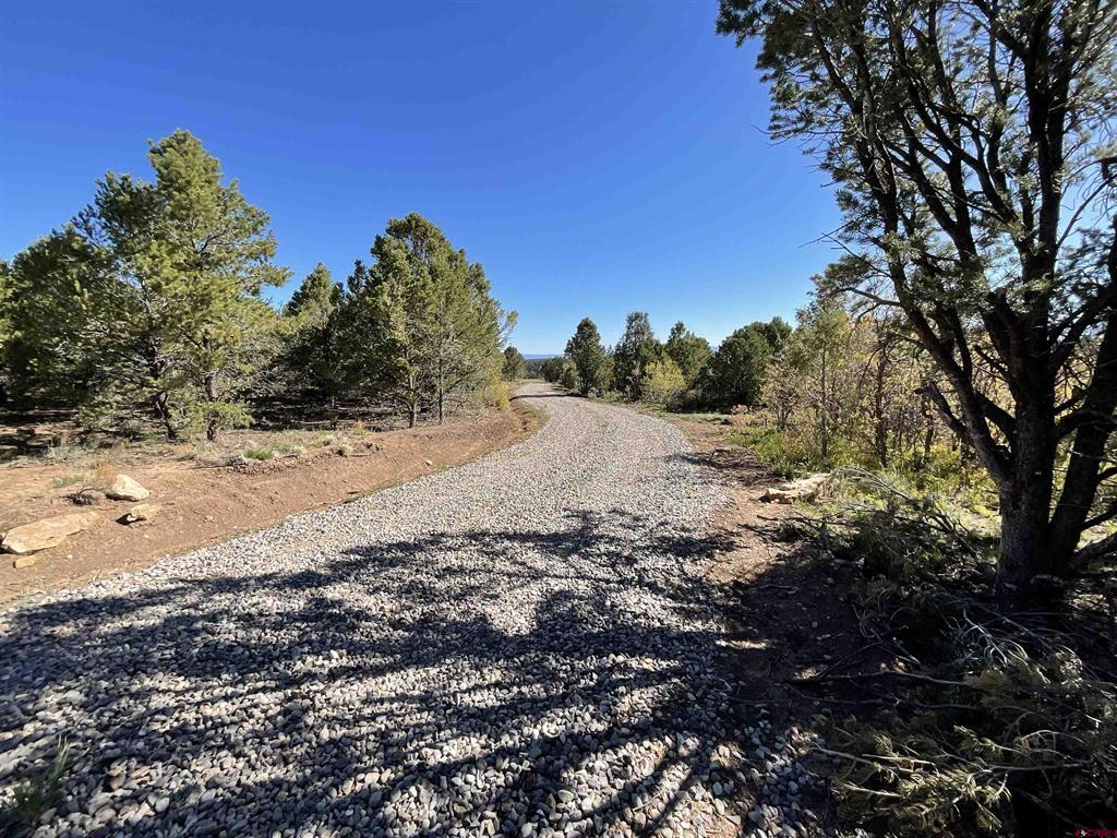 744 Larsen Drive Montrose CO 81403