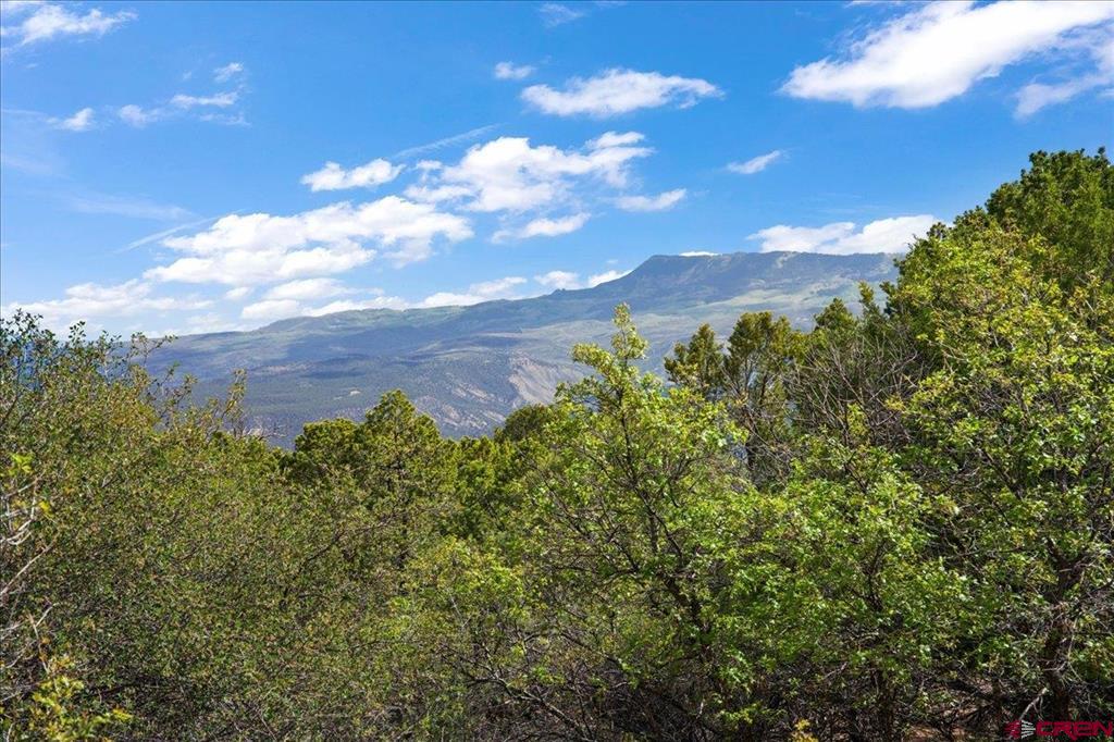 Lot 10 Pine Drive Ridgway CO 81432