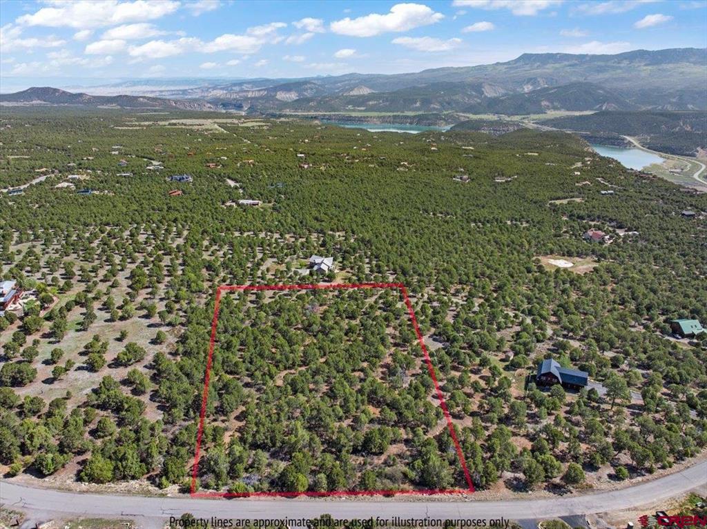 Lot 10 Pine Drive Ridgway CO 81432