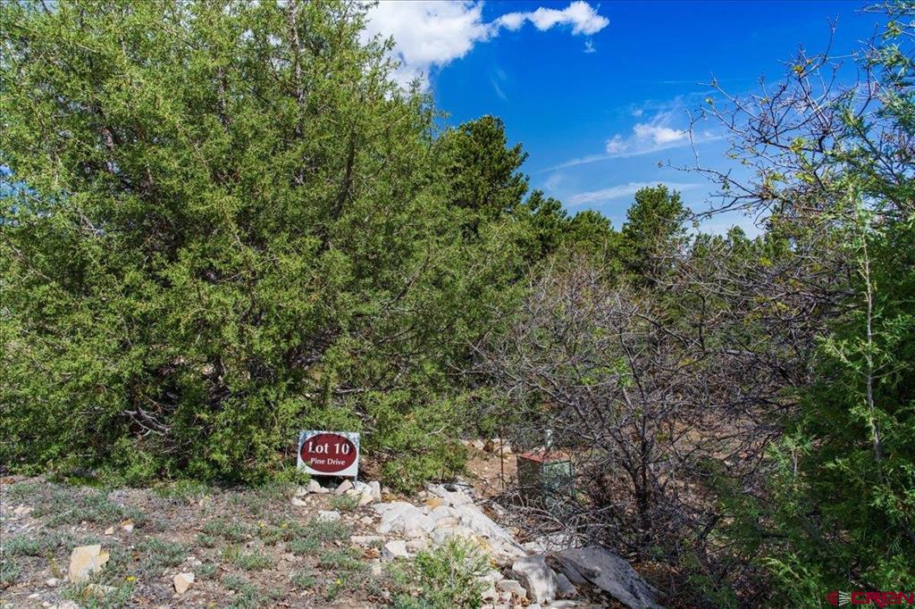 Lot 10 Pine Drive Ridgway CO 81432