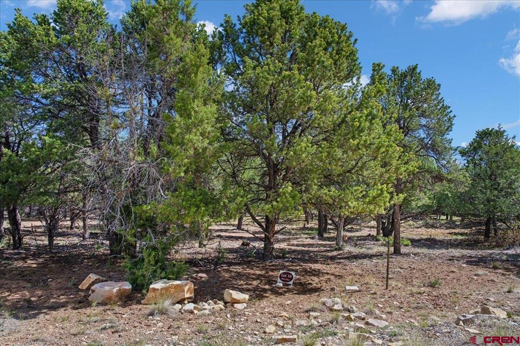 Lot 10 Pine Drive Ridgway CO 81432