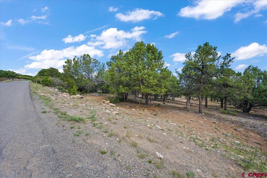 Lot 10 Pine Drive Ridgway CO 81432