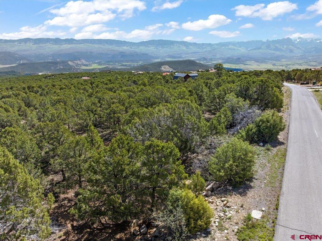 Lot 10 Pine Drive Ridgway CO 81432