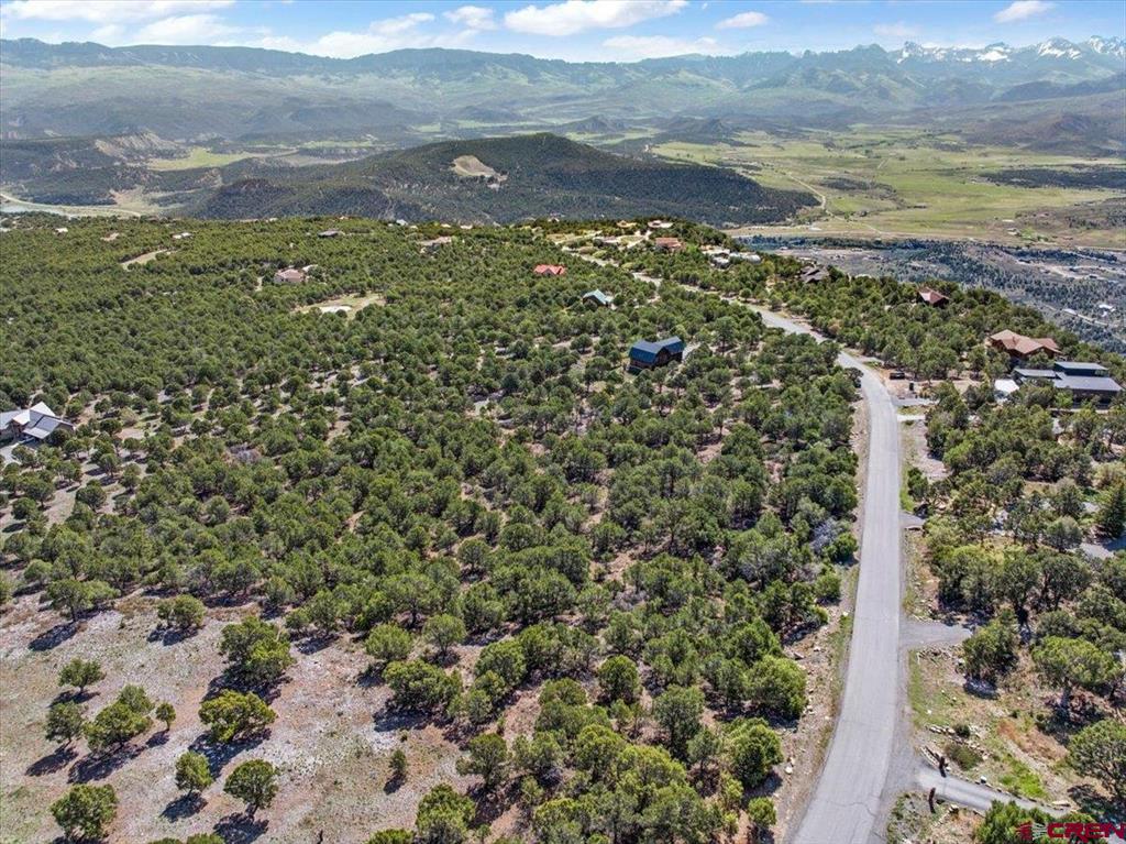 Lot 10 Pine Drive Ridgway CO 81432
