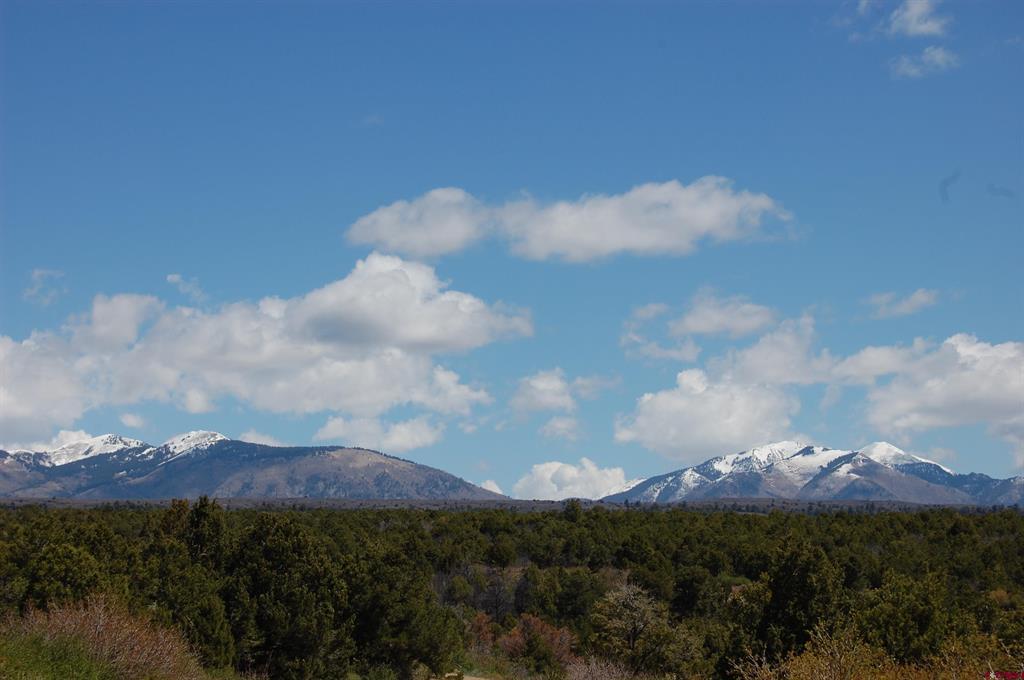 4195 De Oro Way Hesperus CO 81326